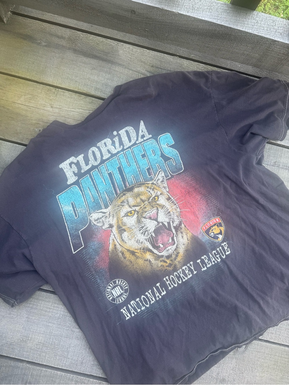 Florida Panthers Graphic Short Sleeve T-Shirt - Black